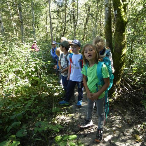 Kindergruppe auf schmalem Weg im dichten Wald mit viel Unterholz