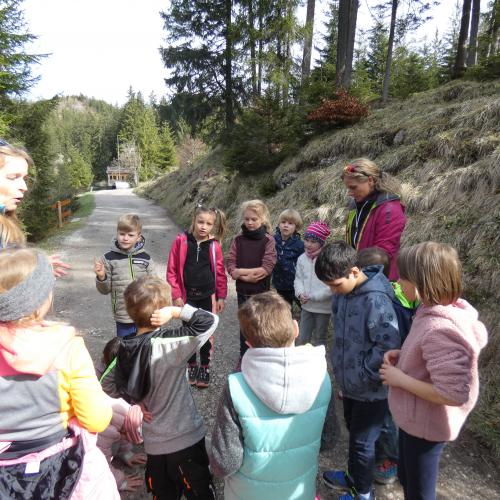 Kinder stehen mit der Naturpädagogin im Wald bei einem Gespräch