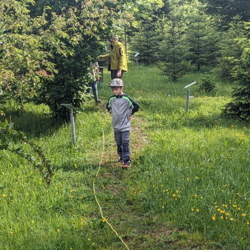 Wiese ein gelbes Seil liegt am Boden, ein Kind geht am Seil entlang und sucht kleine Plastiktiere, die es zählen soll