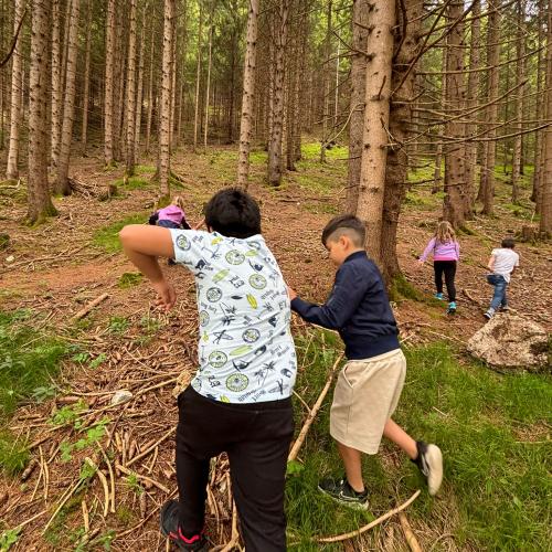 Kinder spielen im Wald