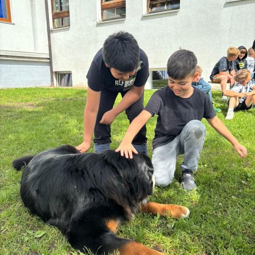 2 Kinder streicheln im Schulhof Fini, den Bernersennhund unserer Schulleiterin