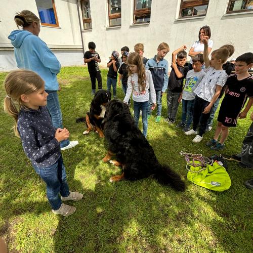 Die Kinder stehen vor den zwei Berner Sennhunden Fini und Pauli und Sabine erzählt