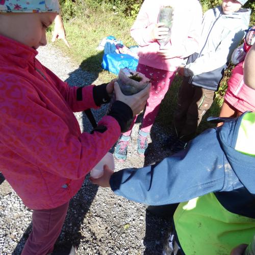 einige Kinder stehen mit ihren selbstgebastelten Wasserfiltern (in Petflaschen) da und beobachten, wie das Wasser durchrinnt.