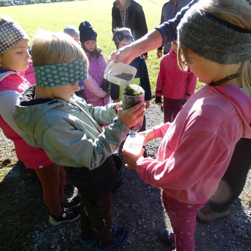 einige Kinder stehen mit ihren selbstgebastelten Wasserfiltern (in Petflaschen) da und beobachten, wie das Wasser durchrinnt.