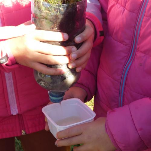 Naturfilter in einer Petflasche - unten rinnt das gefilterte Wasser in einen kleinen weißen Becher