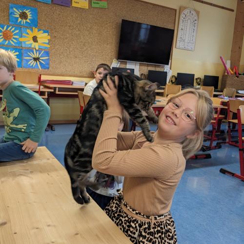 EIn Mädchen hält ihre getigerte Katze in die Höhe