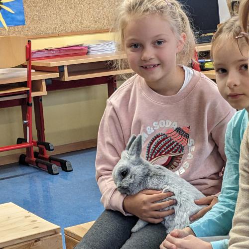 Ein Mädchen sitzt mit ihrem grauen Kaninchen auf der Bank