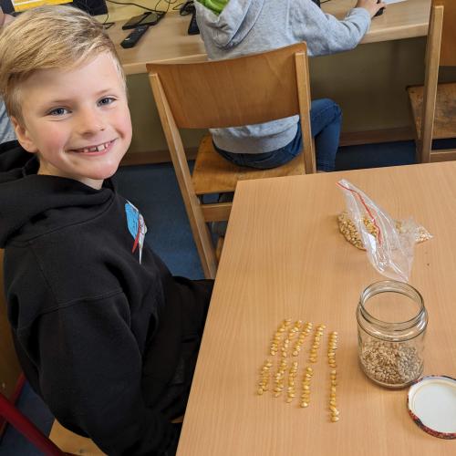 Ein blonder Junge hat 100 Maiskörner in Reihen aufgelegt