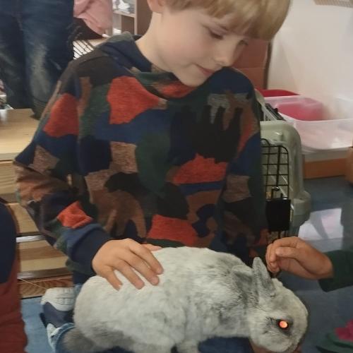 EIn BUb sitzt mit einem grauen Kaninchen auf dem Schoß auf der Bank