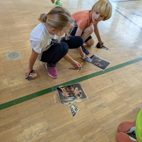 2 Kinder sitzen am Turnsaalboden und bauen ein Dinopuzzle zusammen
