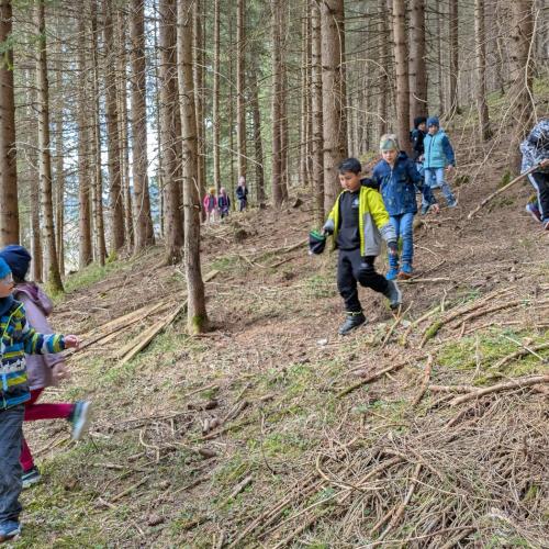 Fünf Kinder sind im Wald zwischen den Bäumen unterwegs