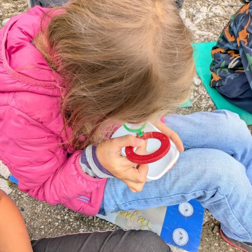 Ein Mädchen betrachtet eine Eintagsfliegenlarve mit der Becherlupe