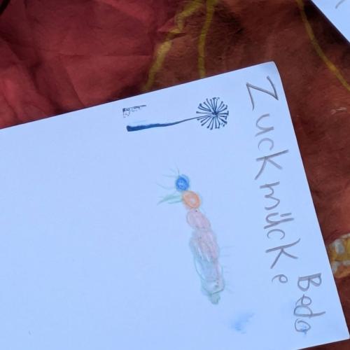 Zeichnung einer Zuckmückenlarve