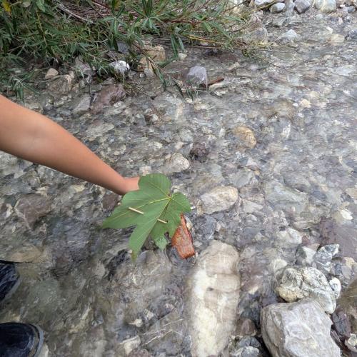 ein RIndenschiffchen mit einem Blatt als Segel wird in den Bach gesetzt