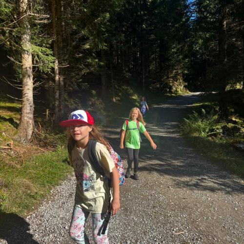 2 Kinder im >Vordergrund in der Sonne - hinten schattiger Waldweg