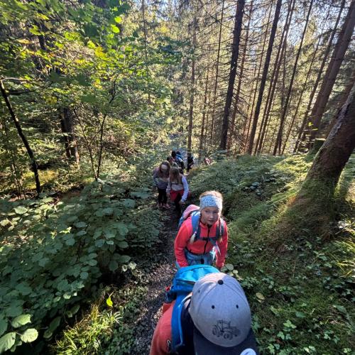 Im herbstlichen Wald kommen 3 Kinder hintereinander den Weg herauf