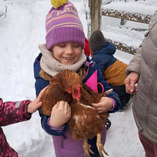 Ein Mädchen mit Lila Mütze mit gelben Bommel hält ein braunes Huhn im Arm
