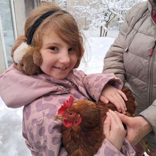 EIn Mädchen in rosa Jacke mit rosa Ohrenschützern hält ein braunes Huhn im Arm