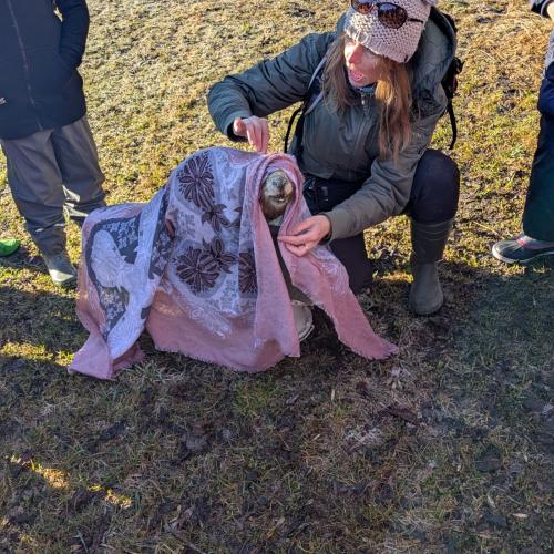 Sabine erzählt aus der Sicht des Bibers (ein ausgestopftes Exemplar) viel Wissenswertes