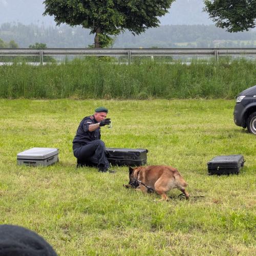 Auf einer Wiese liegt ein Polizeihund vor 3 Koffern - er soll Drogen erschnüffeln. Sein Herrchen kniet bei ihm am Boden