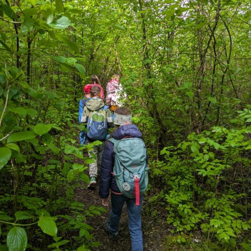Kinder von hinten im Gänsemarsch durch den dichten AUwald
