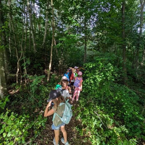Die Kinder gehen im Gänsemarsch auf einem kleinen Weg durch den Auwald