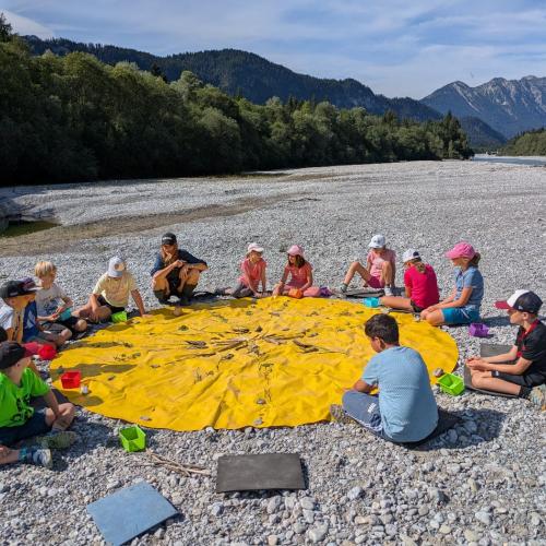Die Kinder sitzen um eine gelbe Auwaldsonne (Plane), auf der sie gesammelte Pflanzen und Dinge aus dem AUwald aufgelegt haben.