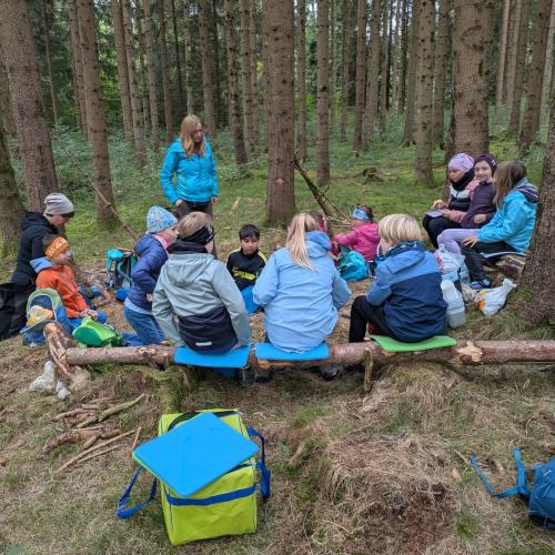 Die Kinder der Klasse sitzen im Wald auf Bäumstämmen im Kreis und hören der Naturpädagogin zu