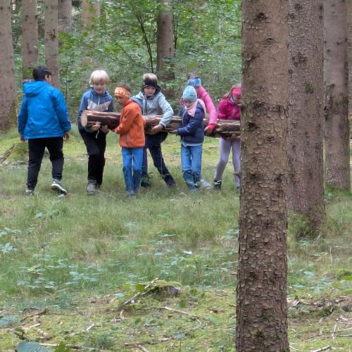 6 Kinder schleppen im Wald einen dicken Baumstamm