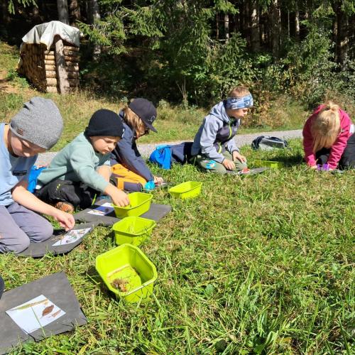 Kinder sitzen am Boden auf einer Wiese - vor ihnen Körbchen mit gesammleten Herbstschätzen