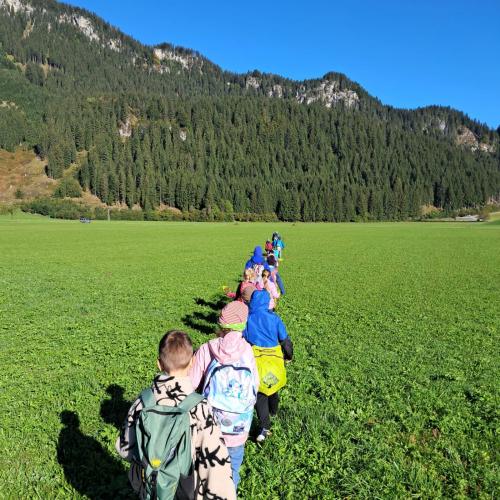 Kinder gehen im Gänsemarsch durch eine Wiese im Hintergrund ein Berghang und blitzblauer Himmel