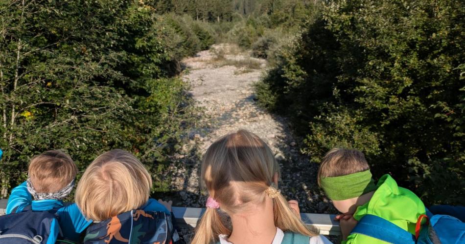 4 Kinder stehen auf einer Brücke beim Leimbach und schauen ins Bachbett