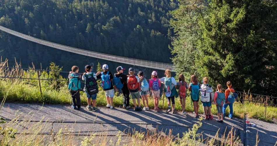 Die Kinder der 3a Klasse stehen bei Sonnenschein am Zaun und schauen auf die Highline 179