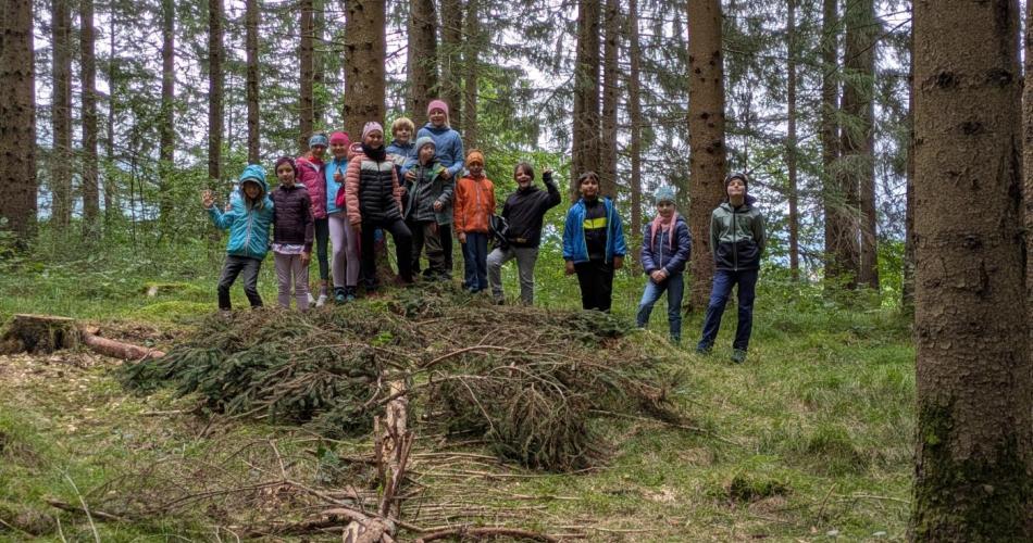 Alle Kinder der Klasse stehen vor einer auf dem Boden im Wald gelegten Fichte